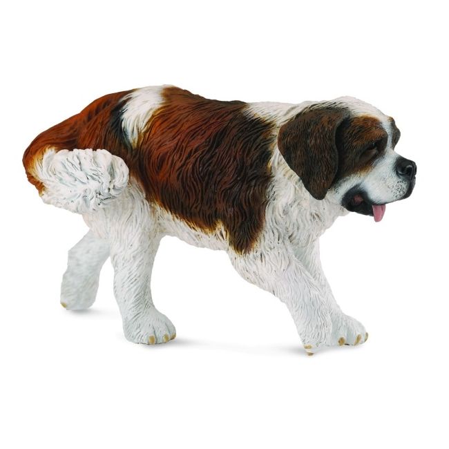 Saint bernard - collecta col88506l