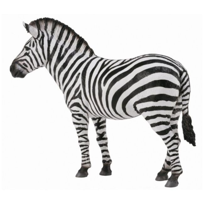 Zebra - collecta col88830l