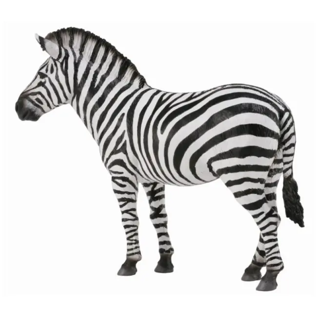 Zebra - collecta col88830l