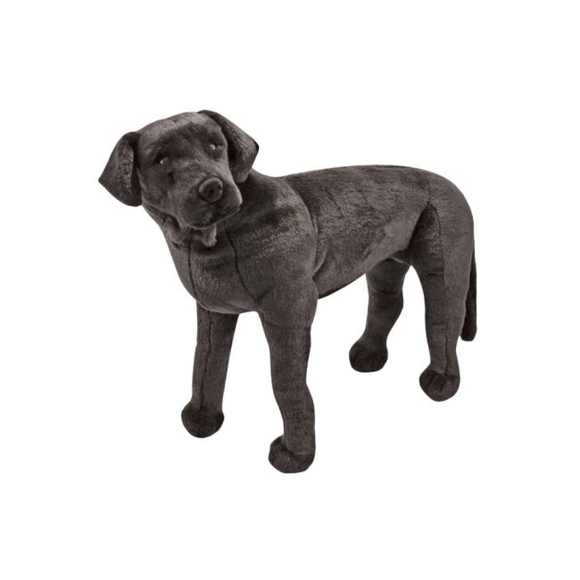 Catel labrador negru gigant din plus md2117