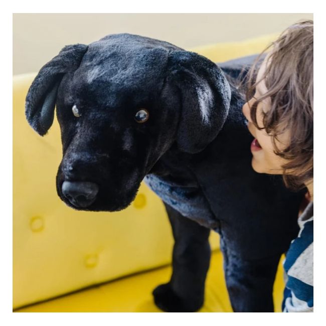 Catel labrador negru gigant din plus md2117