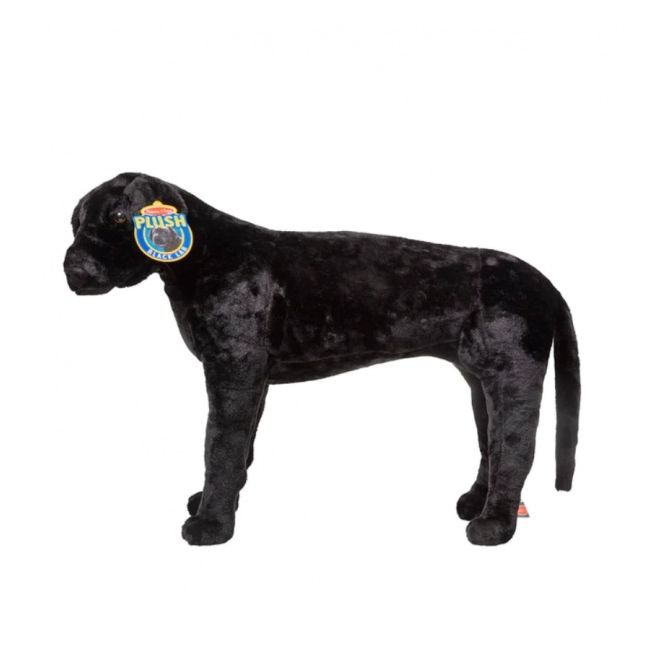 Catel labrador negru gigant din plus md2117