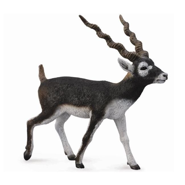 Figurina pictata manual antilopa blackbuck col88638l