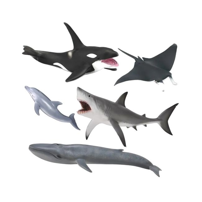 Set de 5 figurine pictate manual viata marina col84072wb