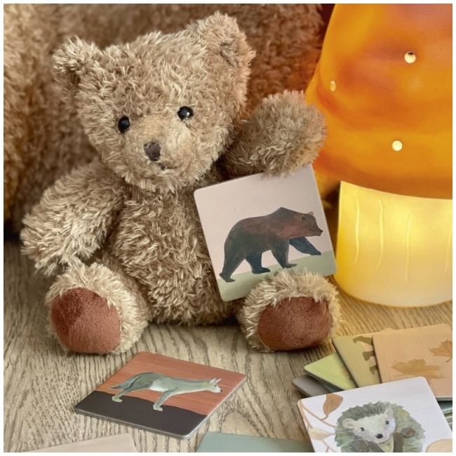 Joc memo padure, egmont toys egm_570088