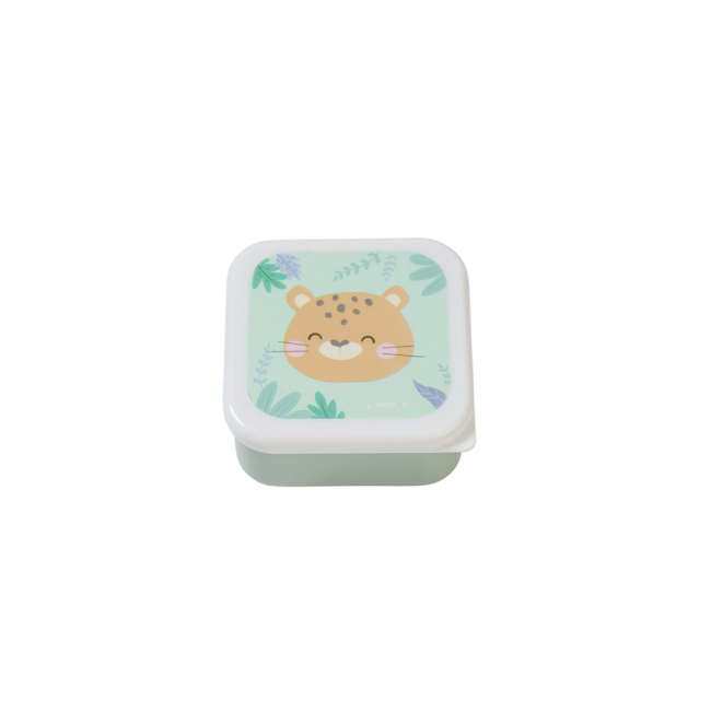 Caserola Pentru Pranz, Set 3 Bucati, Marimi Diferite,  , œjungle Cheetahs,   Mint Pjb70004