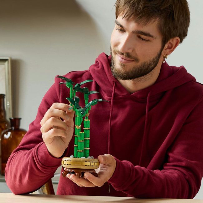 LEGO BOTANICALS BAMBUS NOROCOS 10344 VIVLEGO10344