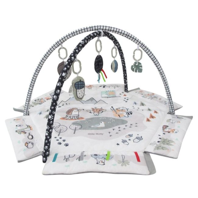 Centru de activitati multifunctional 5 in 1, Minky, Milly Mally EKDmm7393