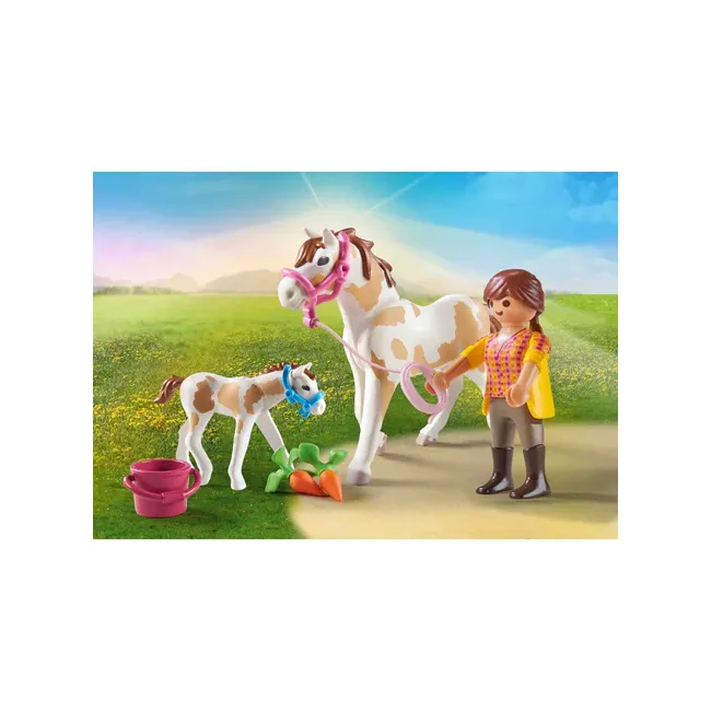 Playmobil - Cal Cu Manz ARTPM71243