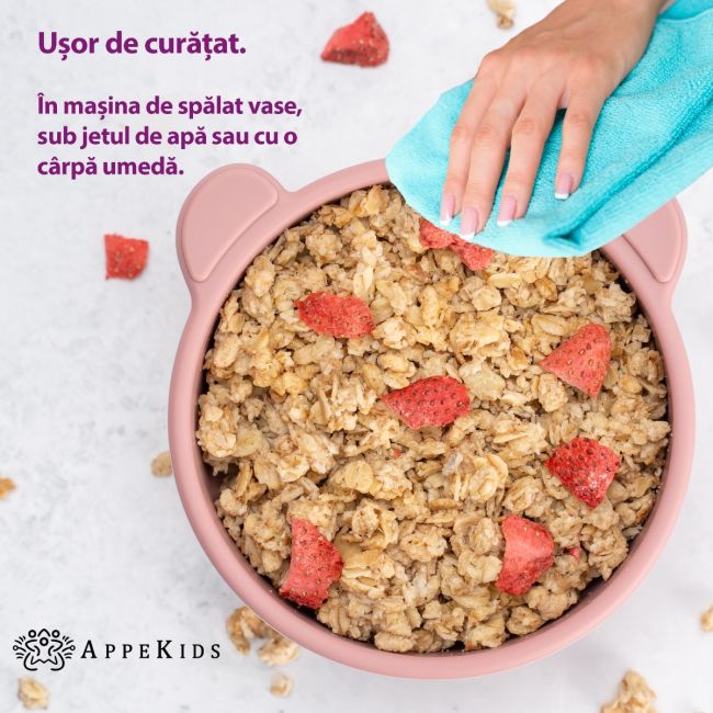 Bol din silicon cu ventuza, AppeKids, The Little Bear - Old Rose KRTAK275121