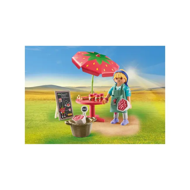 Playmobil - Stand Pentru Vanzare De Gemuri ARTPM71445
