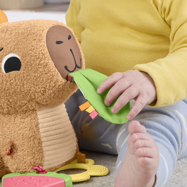 FISHER PRICE JUCARIE SENZORIALA CAPIBARA VIVMTHYR54