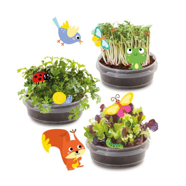 Set creativ casuta cu gradina din copac sa25202