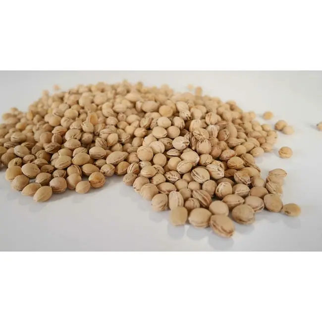 Pernuta anticolici, Bociolad, Umpluta cu samburi de cirese, Cu husa din bumbac, 20x20 cm, 0 luni+, Grey Dots BYNBOC0194