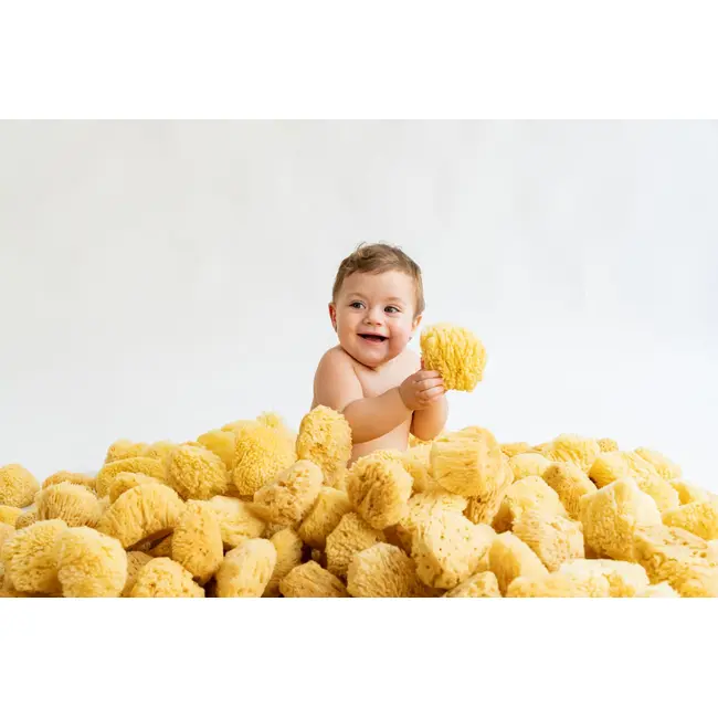 Burete Marin De Baie Natural Pjb960