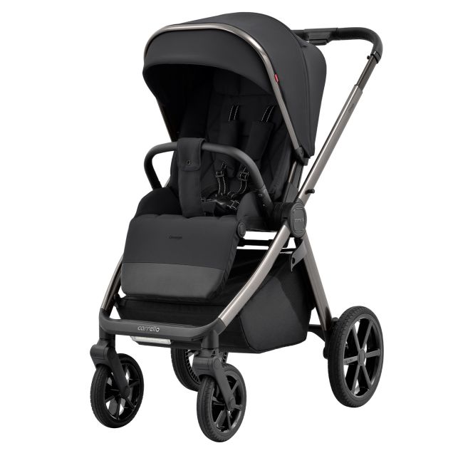Carucior 2 in 1 (max. 22 Kg) Carrello OMEGA Absolute Black PMICCRL-6530/1-BLACK