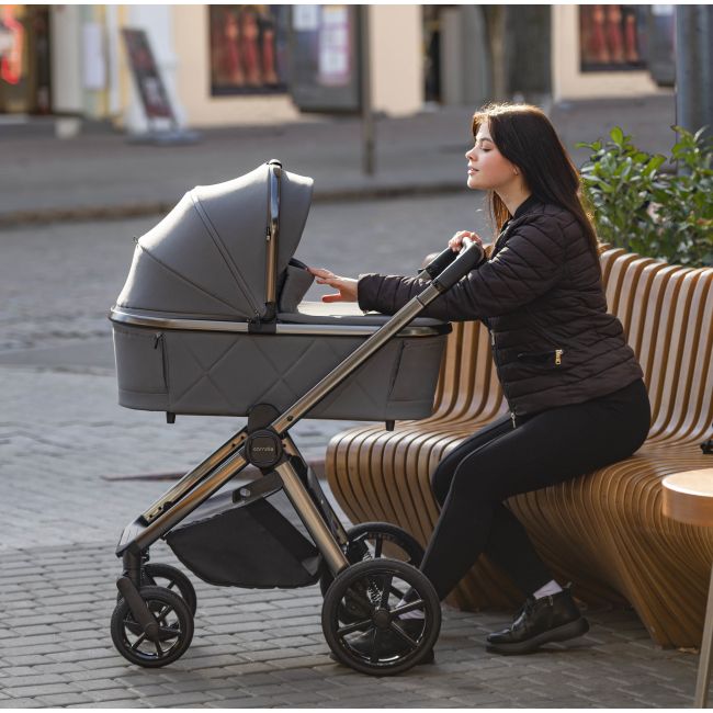 Carucior 2 in 1 (max. 22 Kg) Carrello OMEGA Absolute Black PMICCRL-6530/1-BLACK