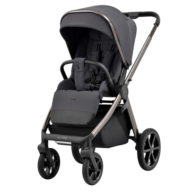 Carucior 2 in 1 (max. 22 Kg) Carrello OMEGA Excellent Grey PMICCRL-6530/1-GREY