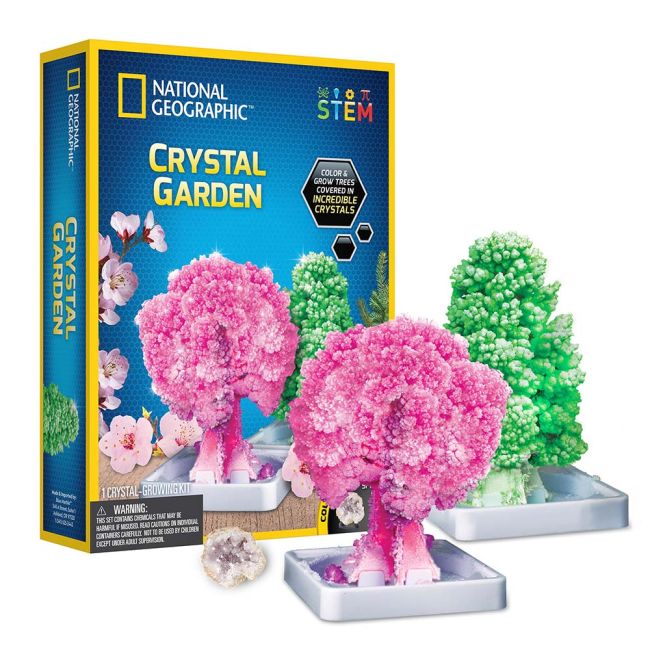 National Geographic - Kit Creativ Gradina De Cristale ARTNG21025