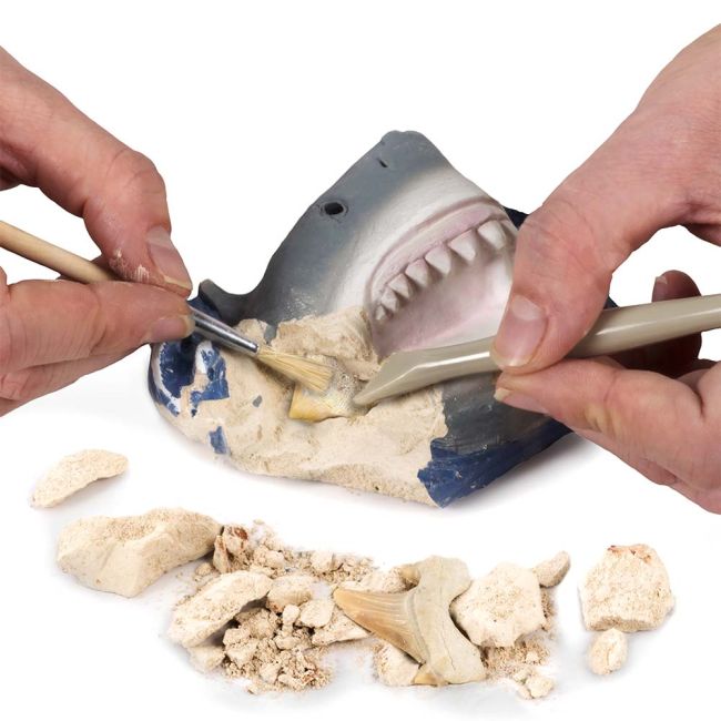 National Geographic - Kit Creativ Sa Cautam Dinti De Rechini ARTNG29660