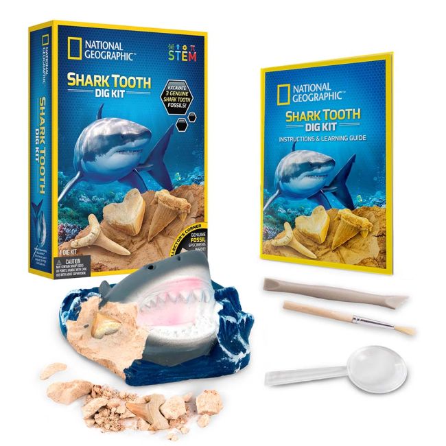 National Geographic - Kit Creativ Sa Cautam Dinti De Rechini ARTNG29660