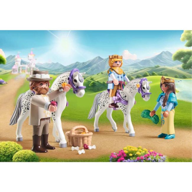 Playmobil - Plimbarea cuplului regal cu caleasca Playmobil ARTPM71846