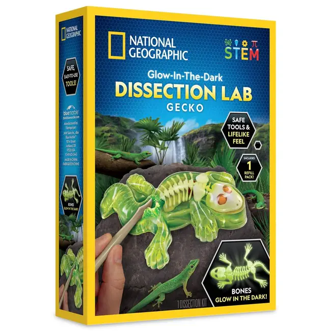 National Geographic - Kit creativ laborator de disectie soparla ARTNG23036