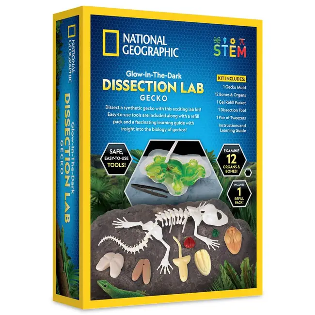 National Geographic - Kit creativ laborator de disectie soparla ARTNG23036