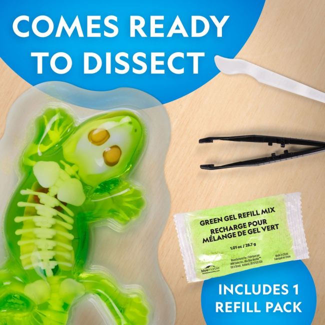 National Geographic - Kit creativ laborator de disectie soparla ARTNG23036