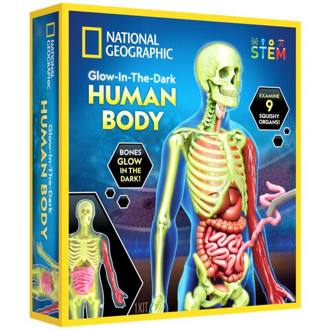 National Geographic - Kit creativ stiinta corpului uman ARTNG23050
