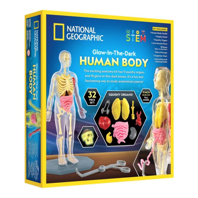 National Geographic - Kit creativ stiinta corpului uman ARTNG23050