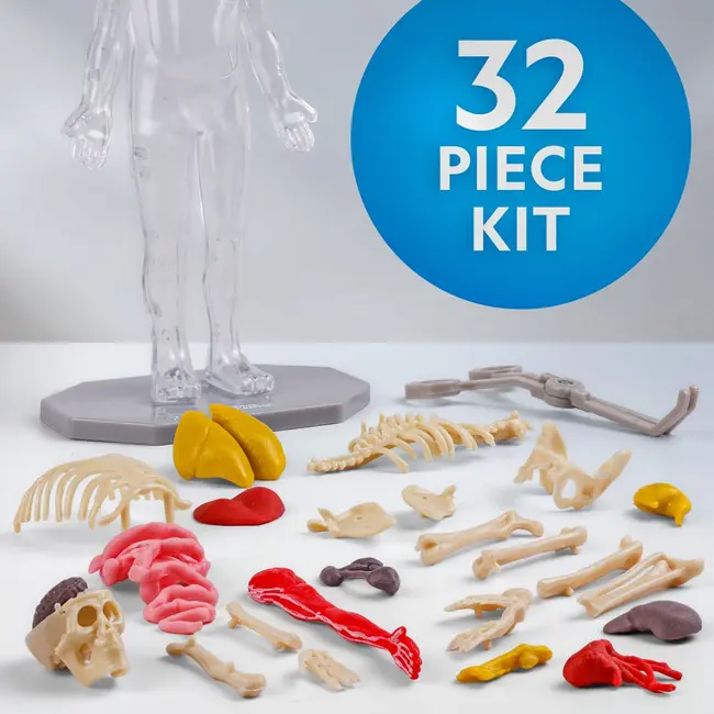 National Geographic - Kit creativ stiinta corpului uman ARTNG23050