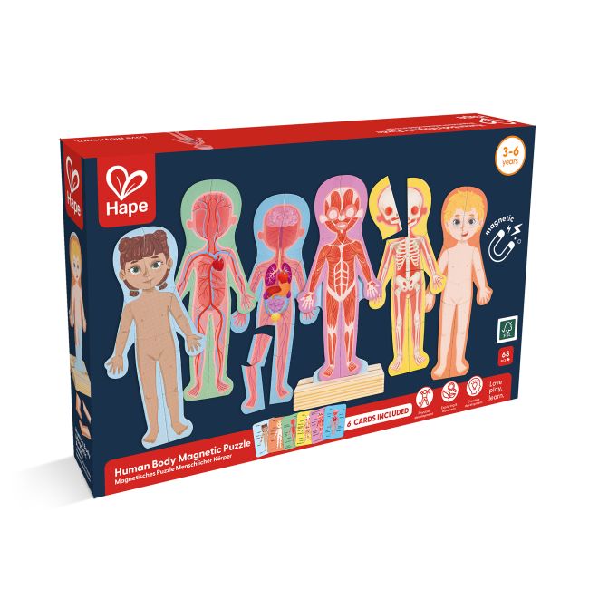 Puzzle magnetic corpul uman (68 piese)
