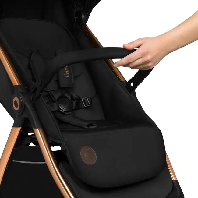 Carucior sport, Lionelo, Ingrid, Capotina impermeabila cu filtru UPF50+, Pana la 22 Kg, Spatar reglabil in 3 pozitii, Include suport pahar si plasa de tantari, Sistem pentru pliere automata, 6 luni+, Negru BYNLO-INGRID_BLACK_ONYX