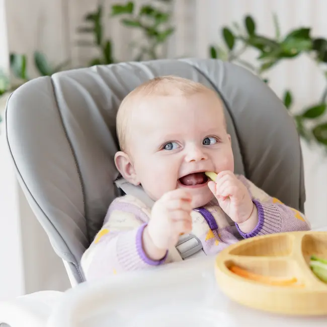 Joie - scaun de masa mimzy recline arctic, nastere - 15 kg bbbh1013ebarc000