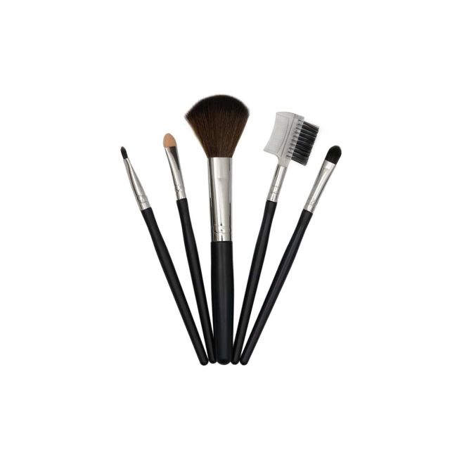 Set 5 Pensule machiaj, Chique S
