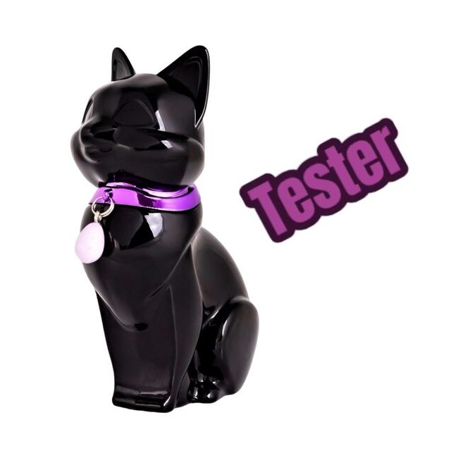 Tester Apa de parfum pentru femei Gattina Black Accentra 8256175, 75 ml