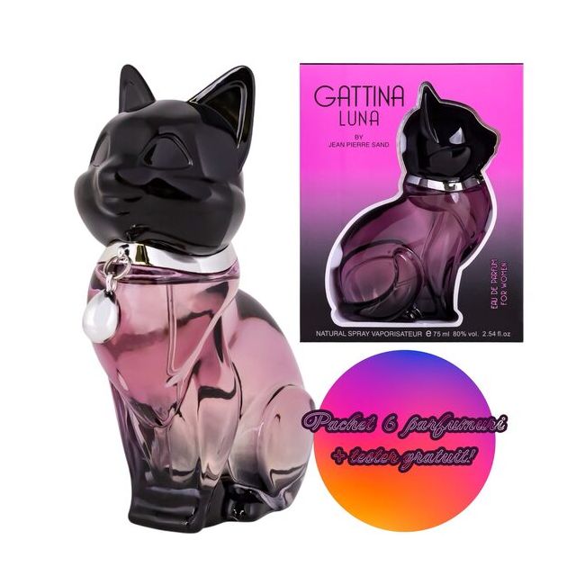 Set 6 Apa de parfum pentru femei Gattina Luna Accentra 8256178, 75 ml + TESTER