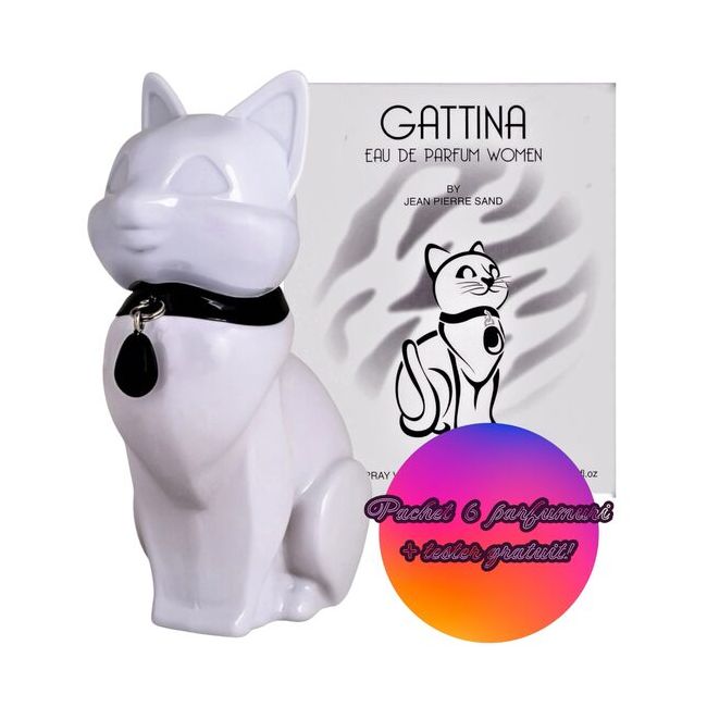 Set 6 Apa de parfum pentru femei Gattina White, Accentra, 8256174, 75 ml  + TESTER