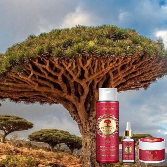 Pachet ingrijire ten Dragon' Blood Revers - apa micelara, crema de ten si ser ingrijire
