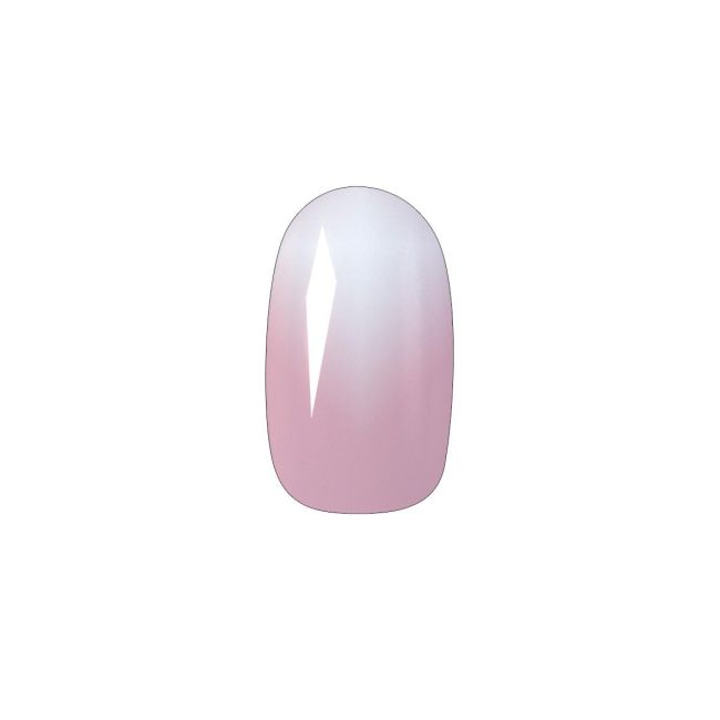 Set 24 unghii artificiale Top Choice, 78439, Ombre
