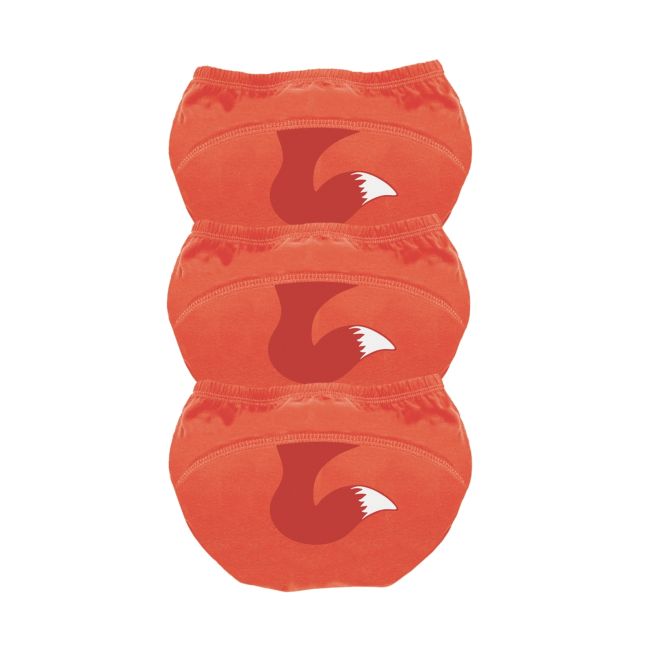 Set de 3 chilotei de antrenament la olita My Little Training Pants, 2-3 ani, Vulpe