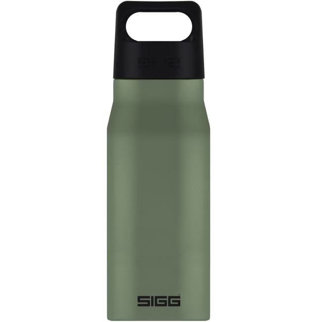 Bidon din otel inoxidabil Explorer Leaf Green, 0.75l