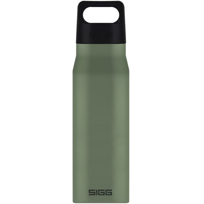 Bidon din otel inoxidabil Explorer Leaf Green, 1l