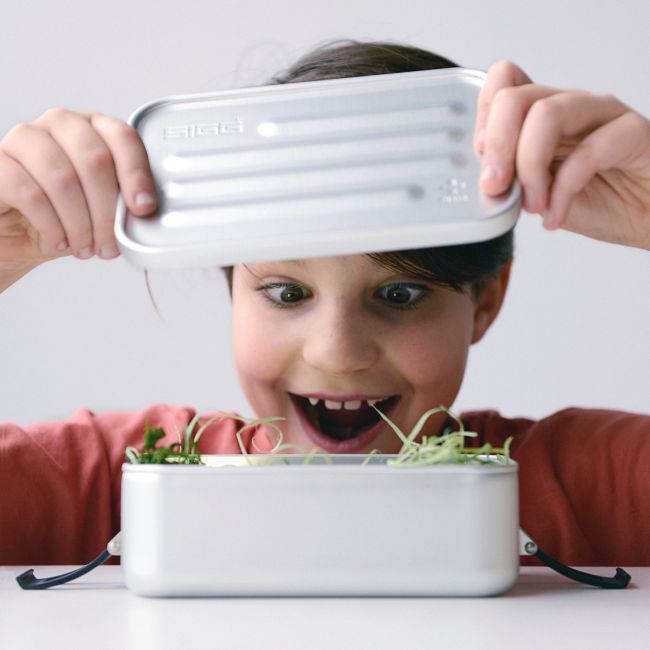 Cutie din aluminiu pentru alimente Plus Alu, L
