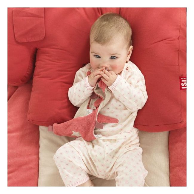 Perna pentru mamica si bebe Buddy Pink Classic, ISI Mini