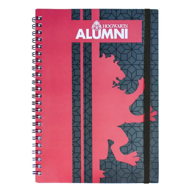 Set Birotica Harry Potter Gryffindor