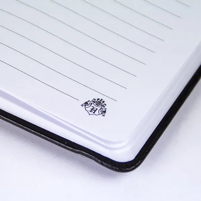 Set Birotica Harry Potter Gryffindor