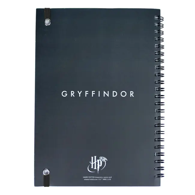 Set Birotica Harry Potter Gryffindor