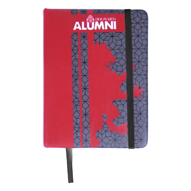 Set Birotica Harry Potter Gryffindor